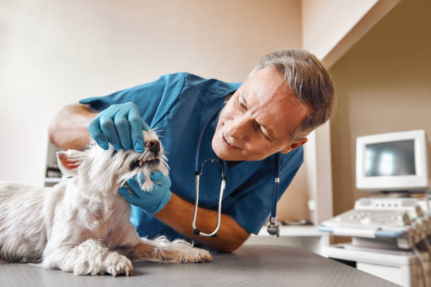 Best Emergency Tooth Extraction in Deshler, OH